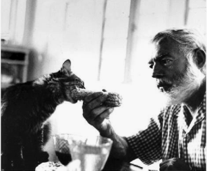 Ernest Hemingway convinces his kitty to try out corn.